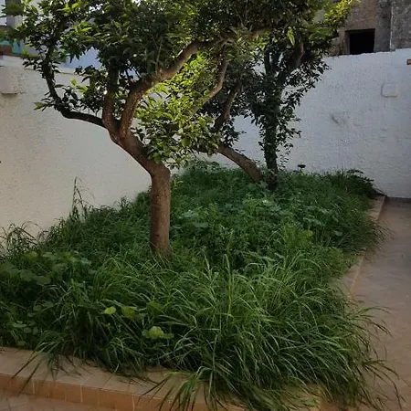 Corte Incasili 